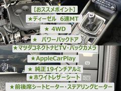 ãءݣ أġ̥ѥåףġ®ͣԡʡر 0204624A30251021W001 2