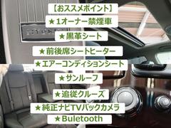  ϥ֥åɡʡر֡ץȡɽ롼ʥȥҡ 0204624A30251101W001 2