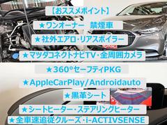 ͣڣģ ӡ̥ѥåʡر֡륻եƥУˣǡץ 0204624A30251116W001 2