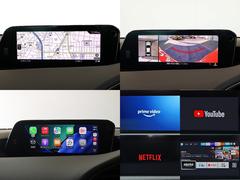 ͣڣģ ӡ̥ѥåʡر֡륻եƥУˣǡץ 0204624A30251116W001 6