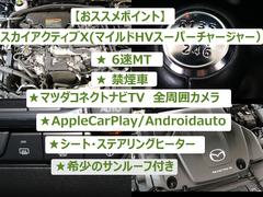 ͣڣģեȥХå إСǥ쥯󡡣®ͣԡر֡롼 0204624A30251116W002 2