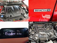 ͣڣģեȥХå إСǥ쥯󡡣®ͣԡر֡롼 0204624A30251116W002 3