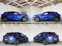 �գ� �գأ������衡�ƥ��ݡ��ġ����ףġ�����롼�ա��ޡ�����ӥ󥽥� 0204624A30251205W001 3