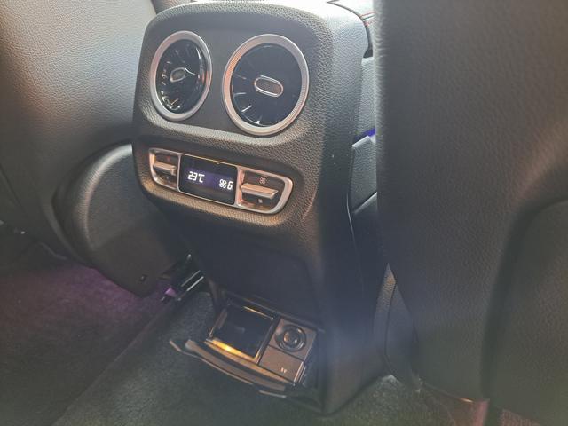 Ｇクラス Ｇ３５０ｄ　ＡＭＧライン　純正２０インチアルミ／ブルメスターサラウンドシステム／ガラススライディングルーフ／ＬＥＤヘッドライト／アダプティブダンピングシステム／アイドリングストップ／３６０°カメラ／ブラックレザー／ドラレコ（48枚目）