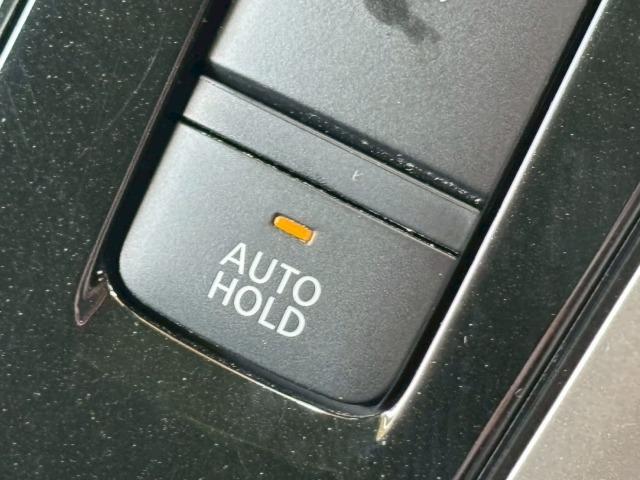 セレナ ハイウェイスターG 純正ナビ 両側電動 全周囲 プロパイロット(60枚目)