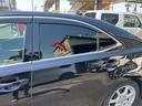 LEXUS HS