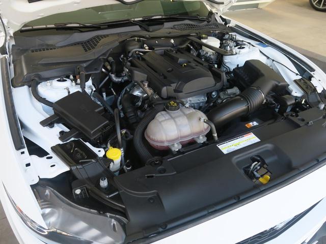 50イヤーズ エディション 限定550台(14枚目)