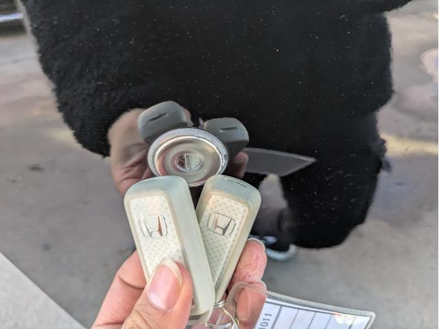 Ｎ－ＷＧＮ Ｇコンフォートパッケージ　社外メモリーナビ　ＢＴオーディオ　ドラレコ　バックカメラ　フルセグＴＶ　ＵＳＢ入力端子　ＣＤ／ＤＶＤ再生　オートライト　ＨＩＤヘッドライト　衝突軽減ブレーキ　アイドリングストップ　ベンチシート（35枚目）