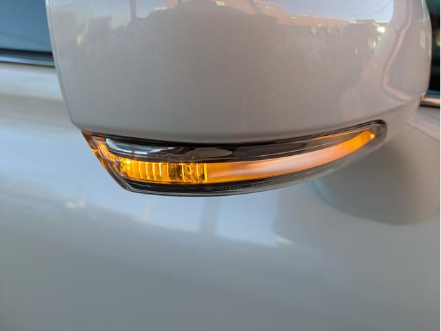 マークＸジオ エアリアル　社外メモリーナビ　ＢＴオーディオ　サイド・バックカメラ　ＣＤ／ＤＶＤ再生　フルセグＴＶ　３列シート７人乗り　オートライト　ＨＩＤヘッドライト　フロントフォグ　ステアリングリモコン　　プッシュスタート（44枚目）