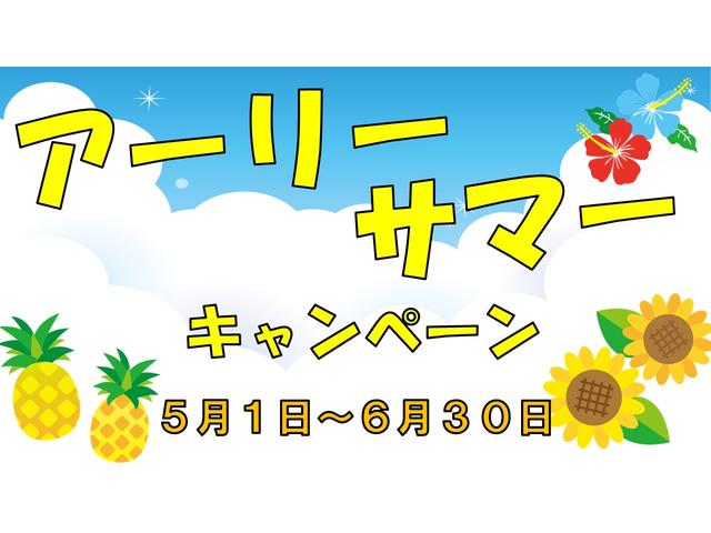 マイスタイル　ＤＡＭＤノマドフェイスチェンジ　全方位カメラパッケージ　デュアルカメラブレーキサポート　アダプティブクルーズコントロール　ハイビームアシスト　ＬＥＤヘッドライト　シートヒーター　両側パワースライドドア(79枚目)