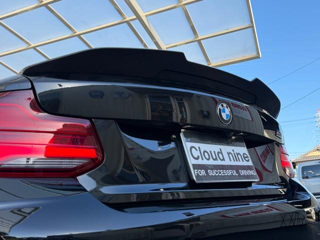 M2 コンペティション H&Rダウンサス 外19インチアルミ 新品カーボンフロントスポイラー カーボンリアスポイラー&リアデフューザー(55枚目)