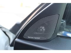 ͣ ڥƥ󡡣ʡǥ顼ǯϿʣңˣ͡ģãԥɥ饤֥åȣˣ 0205104A30251115W001 6