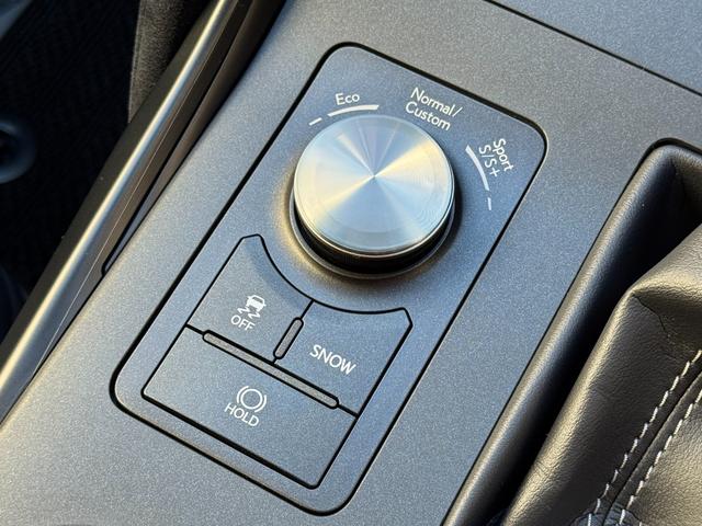 LEXUS IS IS500 F SPORT PERFORMANCE