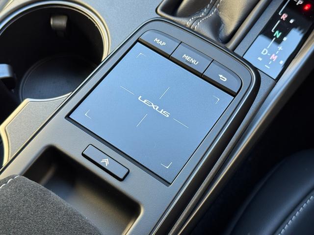 LEXUS IS IS500 F SPORT PERFORMANCE