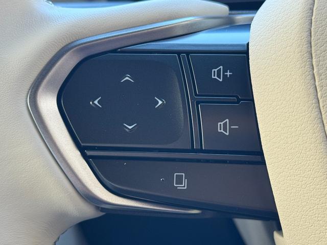 LBX LBX MORIZO RR “Bespoke Build” 100台限定車 イエローキャリパー 寒冷地仕様 プリクラッシュセーフティ パワーバックドア LEDヘッドライト 純正19インチアルミホイール ブラインドスポットモニター 禁煙車 クリアランスソナー(52枚目)