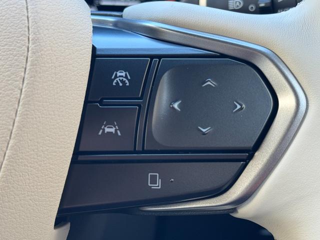 LBX LBX MORIZO RR “Bespoke Build” 100台限定車 イエローキャリパー 寒冷地仕様 プリクラッシュセーフティ パワーバックドア LEDヘッドライト 純正19インチアルミホイール ブラインドスポットモニター 禁煙車 クリアランスソナー(53枚目)