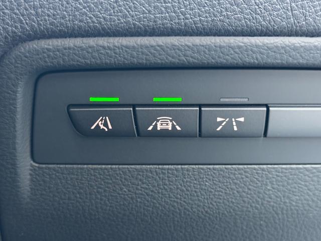 ３シリーズ ３２０ｉ　Ｍスポーツ　エディションシャドー　純正ＨＤＤナビ　ＬＥＤヘッドライト　黒革シート　メモリーパワーシート　シートヒーター　レーダークルーズコントロール　車線逸脱警報　クリアランスソナー　アイドリングストップ（53枚目）