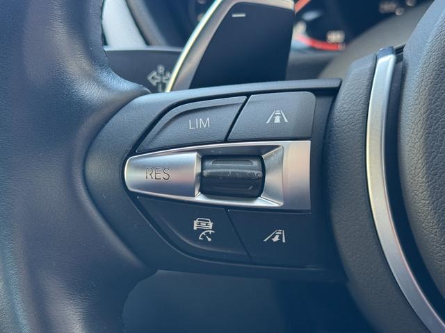 ３シリーズ ３２０ｉ　Ｍスポーツ　エディションシャドー　純正ＨＤＤナビ　ＬＥＤヘッドライト　黒革シート　メモリーパワーシート　シートヒーター　レーダークルーズコントロール　車線逸脱警報　クリアランスソナー　アイドリングストップ（54枚目）