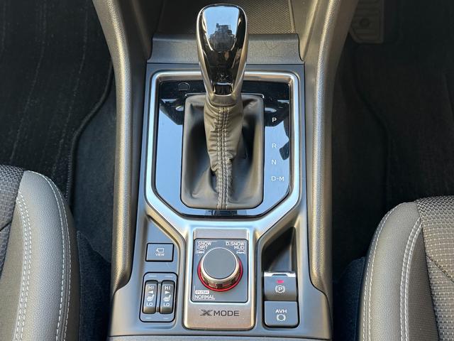 フォレスター Ｔｏｕｒｉｎｇ　純正ナビ　パワーバックドア　フロント・サイド・バックカメラ　パワーシート　シートメモリー　シートヒーター　ステアリングヒーター　　ブラインドスポットモニター　車線逸脱警報　デジタルインナーミラー（49枚目）