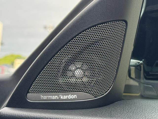 M2 M2 Competition RHD ハーマンカードン アクラポビッチマフラー シュニッツァーエアロ・コンピューター バージョン3KWサスペンション 黒革シート 純正ナビ バックカメラ スマートキー ETC ドライビングアシスト(25枚目)