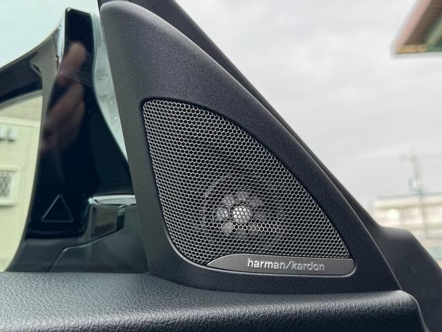 M2 M2 Competition RHD ハーマンカードン アクラポビッチマフラー シュニッツァーエアロ・コンピューター バージョン3KWサスペンション 黒革シート 純正ナビ バックカメラ スマートキー ETC ドライビングアシスト(35枚目)