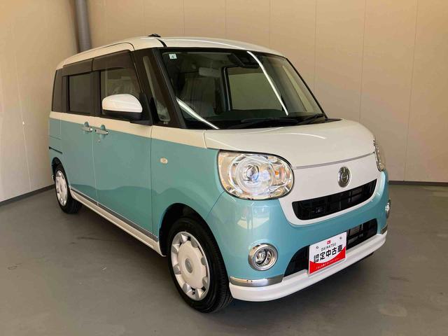 ムーヴキャンバス ＧメイクアップＶＳ　ＳＡＩＩＩ（29枚目）