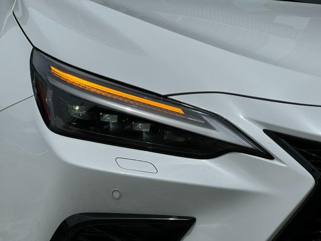 ＮＸ ＮＸ３５０ｈ　Ｆスポーツ　ＴＲＤエアロセット　ＴＲＤスポーツマフラー　パノマミックビューモニター　オレンジキャリパー　デジタルインナーミラー　アドバンスドパーク　ブラウン内装　ＢＳＭ　１４インチディスプレイナビ　４ＷＤ（19枚目）