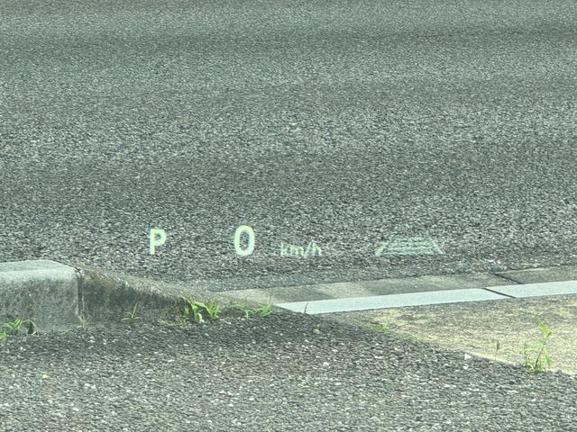 TOYOTA ALPHARD HYBRID Z