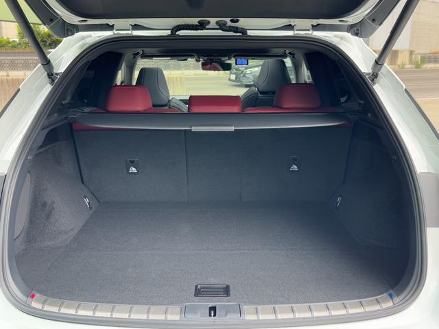 RX RX500h Fスポーツパフォーマンス パノラマルーフ デジタルインナーミラー オレンジキャリパー 輻射ヒーター アドバンスドパーク BSM 赤レザーシート 14型ディスプレイナビ HDMI 2.0ETC パワートランクドア(71枚目)