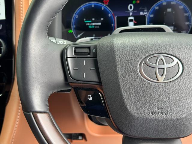 ヴェルファイアハイブリッド Ｚ　プレミア　左右独立ムーンルーフ　デジタルインナーミラー　純正１４インチナビ　パノラミックビュー　１３．２型有機ＥＬ後席ディスプレイ　ユニバーサルステップ　　ブラウン内装　トヨタチームメイト　アドバンスパーク（66枚目）