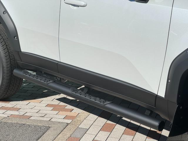 ランドクルーザー２５０ ＶＸ　ＪＡＯＳフロントバンパーカバー　ＪＡＯＳオーバーフェンダー　ＪＡＯＳサイドステップ　ＪＡＯＳマッドガード　ＪＡＯＳアンダーガード　丸目ヘッドライト　トヨタメームメイト　デジタルミラー　サンルーフ（22枚目）
