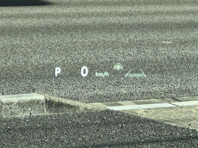 アルファードハイブリッド Ｚ　左右独立式ムーンルーフ　純正１４インチコネクトナビ　デジタルインナーミラー　パノラミックビューモニター　１３．２インチフリップダウンモニター　トヨタチームメイト　ステップ　２．０ＥＴＣ　ＢＳＭ（16枚目）