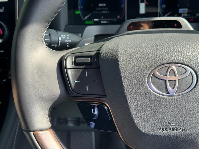 アルファードハイブリッド Ｚ　左右独立式ムーンルーフ　純正１４インチコネクトナビ　デジタルインナーミラー　パノラミックビューモニター　１３．２インチフリップダウンモニター　トヨタチームメイト　ステップ　２．０ＥＴＣ　ＢＳＭ（66枚目）