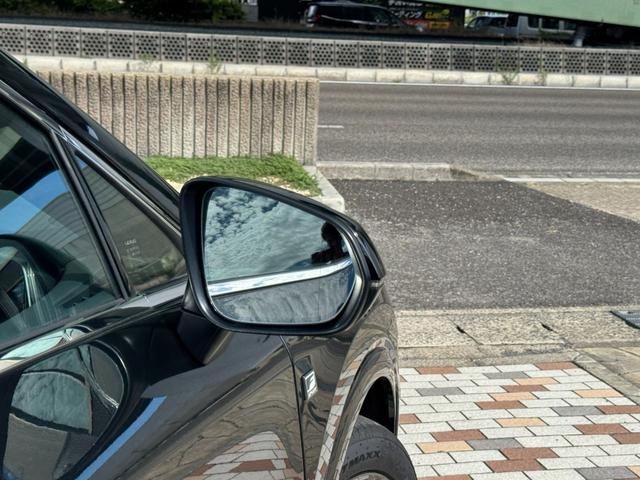 ＲＸ ＲＸ３５０　Ｆスポーツ　パノラマルーフ　デジタルインナーミラー　オレンジキャリパー　アドバンスパーク　パノマミックビューモニタ－　赤革シート　３眼ＬＥＤヘッドライト　ＢＳＭ　メーカーナビ　２．０ＥＴＣ　ドライブレコーダー前後（30枚目）