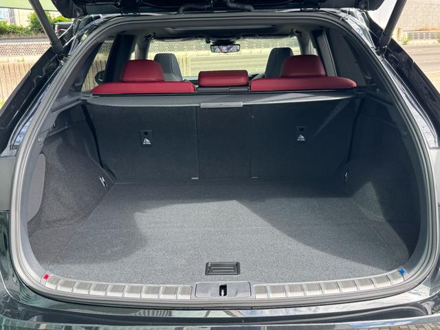 ＲＸ ＲＸ３５０　Ｆスポーツ　パノラマルーフ　デジタルインナーミラー　オレンジキャリパー　アドバンスパーク　パノマミックビューモニタ－　赤革シート　３眼ＬＥＤヘッドライト　ＢＳＭ　メーカーナビ　２．０ＥＴＣ　ドライブレコーダー前後（72枚目）