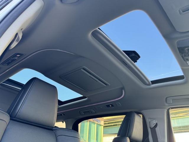 アルファード 2.5S Cパッケージ TRDエアロセット ツインムーンルーフ デジタルインナーミラー 純正9インチディスプレイ ナビキット バックカメラ 12型後席ディスプレイ スペアタイヤ 3眼LEDヘッドライト BSM ETC2.0(10枚目)