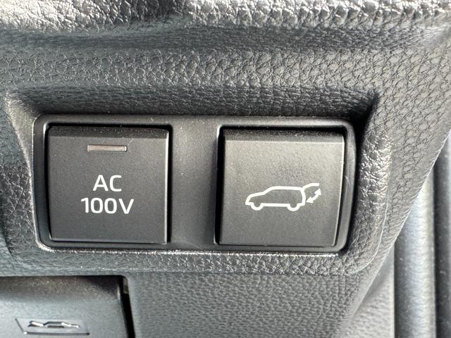 �p���[�o�b�N�h�A�́A�{�^���ЂƂŃ��A�Q�[�g�̊J���ł���֗��ȋ@�\���ו��ŗ��肪�ӂ������Ă���Ƃ���A�d���h�A���J����̂���ςȏ�ʂł��X���[�Y�ɑ���ł��邽�߁A����̎g�����肪�傫�����サ�܂���