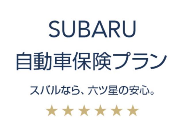2.0i-L アイサイト ナビ カメラ(47枚目)