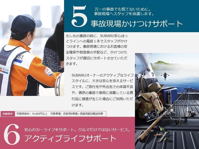 2.0i-L アイサイト ナビ カメラ(50枚目)