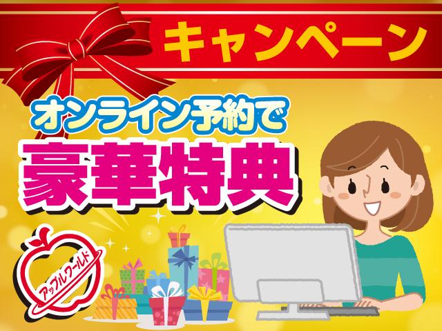 X SDナビ フルセグTV ドラレコ DVD再生可能 キーレス スマートキー 純正フロアマット 純正14インチアルミホイール(62枚目)