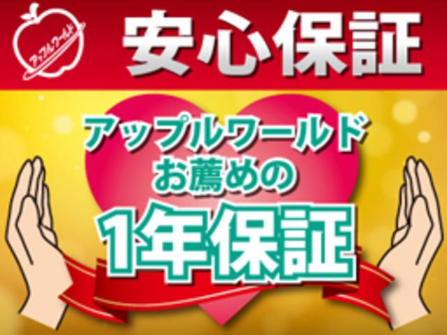 X SDナビ フルセグTV ドラレコ DVD再生可能 キーレス スマートキー 純正フロアマット 純正14インチアルミホイール(66枚目)