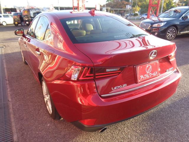 ＩＳ ＩＳ２５０　バージョンＬ　茶レザーシート　純正ＳＤナビ　フルセグＴＶ　パワーシート　シートヒーター　シートクーラー　スマートキー　バックカメラ　ＥＴＣ　ドラレコ　パドルシフト　クルーズコントロール　フロアマット　電格ミラー（16枚目）