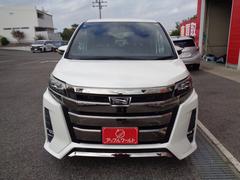 Υ ӣ顡֥Хӡȥ西եƥ󥹡ξ¦ѥ饤ɥɥϡե쥶 0205292A30251017W001 2