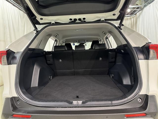 ＲＡＶ４ Ｇ　衝突被害軽減システム　メモリーナビ　フルセグ　バックカメラ　ＥＴＣ　ドラレコ　ＣＤ　ＤＶＤ再生　電動シート　オートクルーズコントロール　ＬＥＤヘッドランプ　スマートキー　キーレス　４ＷＤ（33枚目）