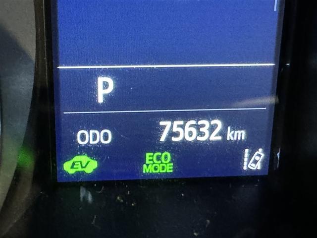 �ʐ^�B�e���̑��s�����ł��B�X�܊Ԃ̈ړ��Ȃǂő��s�������L�тĂ���ꍇ������܂��B