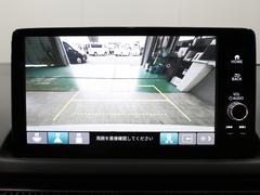 ڥХåۥ˥˸αǤĤФΤǡѤξ㳲ʪȯ֤˶ϤƤޤ 6