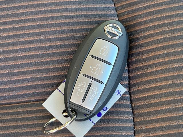 エルグランド 250ハイウェイスターS 純正ナビゲーション アラウンドビューモニター ETC 両側パワ-スライドドア クルコン インテリキー LEDヘッドランプ サイドカーテンエアバック 盗難防止 オートエアコン ニスモスポーツマフラー(47枚目)