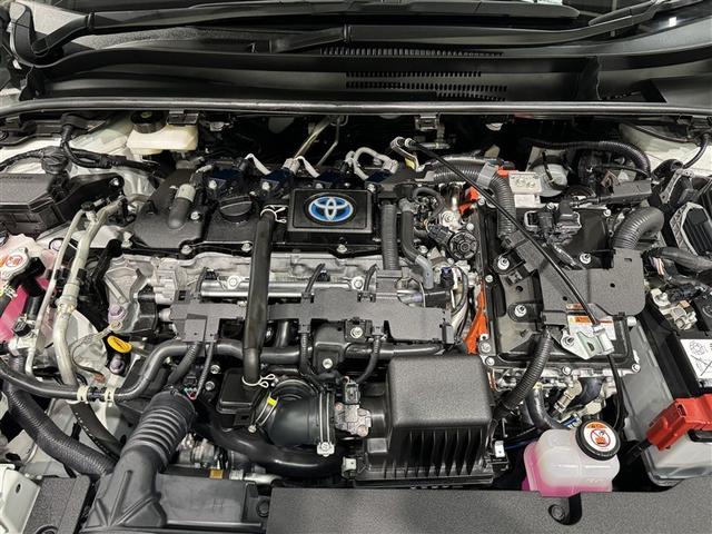 スチームがけでエンジンルームの汚れも綺麗にクリーニング！