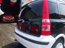 FIAT NEW PANDA