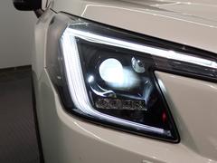 ȡȥҡѥȡѥȡ㳲ʪ󥵡̣ţĥإåɥ饤ȡޡȥסҳ꡼ʥӡХå顡£衡ţԣ 3